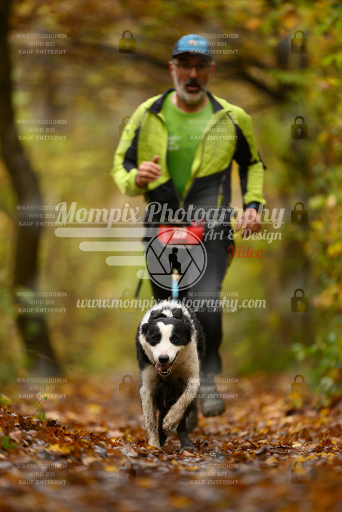 MompixPhotography_CD7S_DI_CCL-90 | mompixphotography