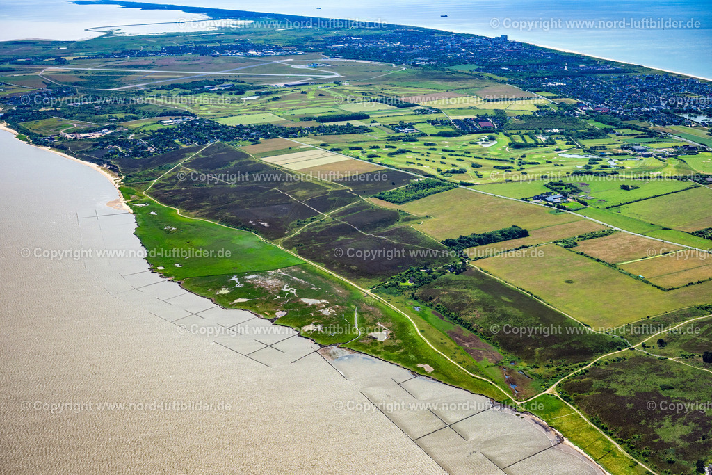 Sylt_Braderup_Braderupper_Heide_Wenningstedt_ELS_7094130625 | WENNINGSTEDT-BRADERUP (SYLT) 21.06.2025 Küstenbereich der Nordsee - Insel in Wenningstedt-Braderup (Sylt) Braderupper Heide Landschaft im Bundesland Schleswig-Holstein. // Coastal area of a??a??the North Sea - island in Wenningstedt-Braderup (Sylt) Braderupper Heide landscape in the state of Schleswig-Holstein. Foto: Martin Elsen