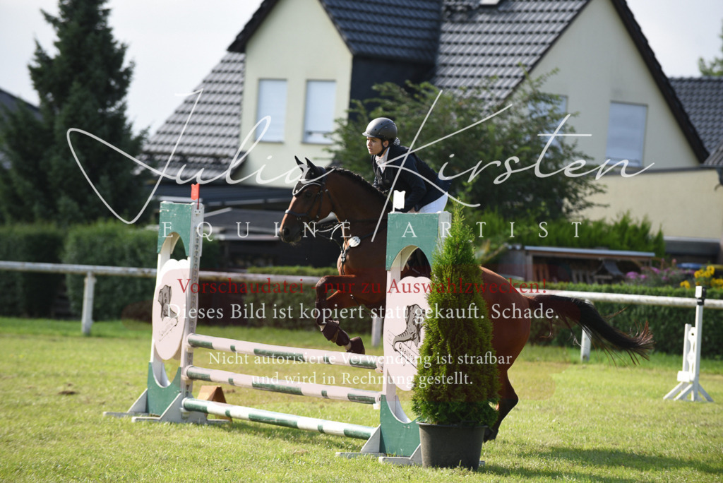 DSC_8863 | Pferde- und Turnierfotografie in Westsachsen. Pferdeportraits, Auftragszeichnungen und intuitive Kunst.