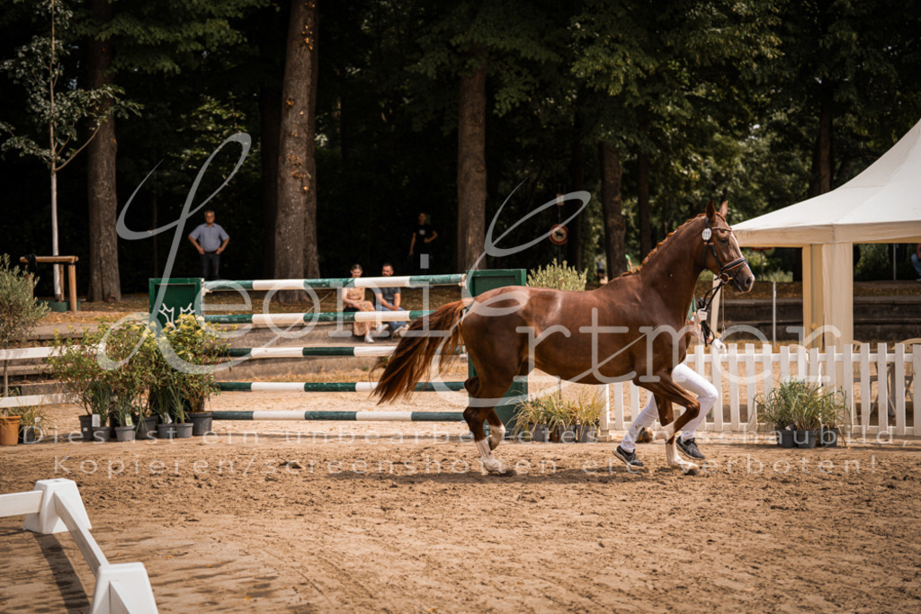 3.Fr00090 | Leoni Ertmer Photography - Realisiert mit Pictrs.com