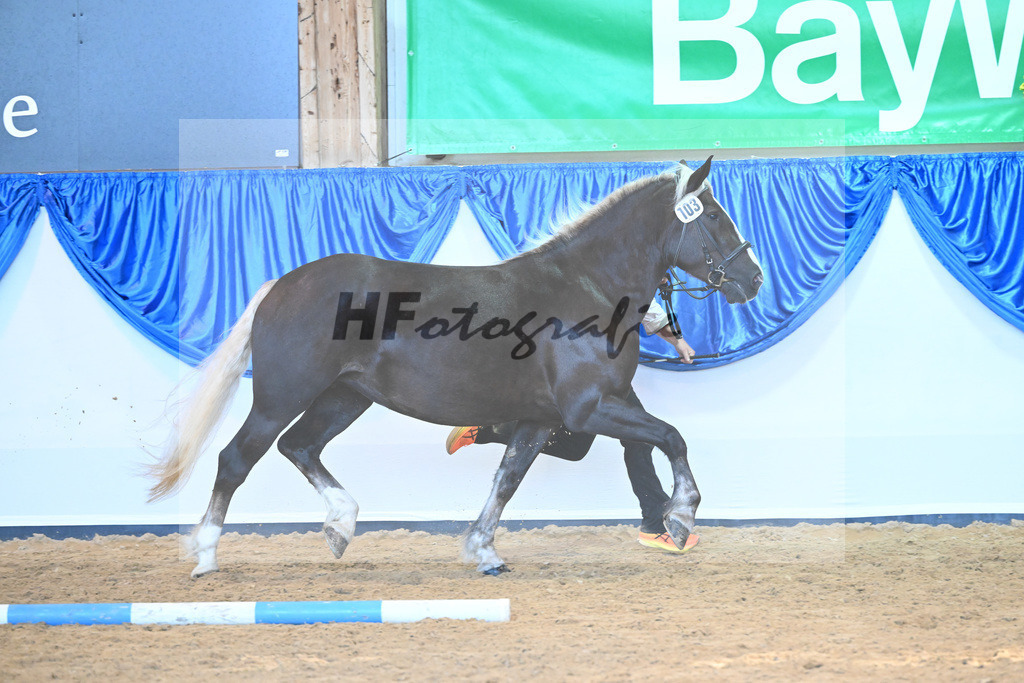 Kat-Nr. 103 F-Mathilda_ZG Heeres-Draeger_53220730 | hf-fotografie - Realizzato con Pictrs.com