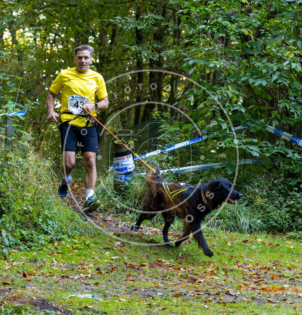 Pfotenfotografie_DV3A6860 | Hundefotografie, Tierfotograf, Pfotenfotografie, Fotoshooting Hund, Hunde Portrait, Hundesport, Hundeportraits, Heideshooting, Hunde, Sportfotograf, Hundefotograf, Turnierhundsport, THS,  - Realisiert mit Pictrs.com