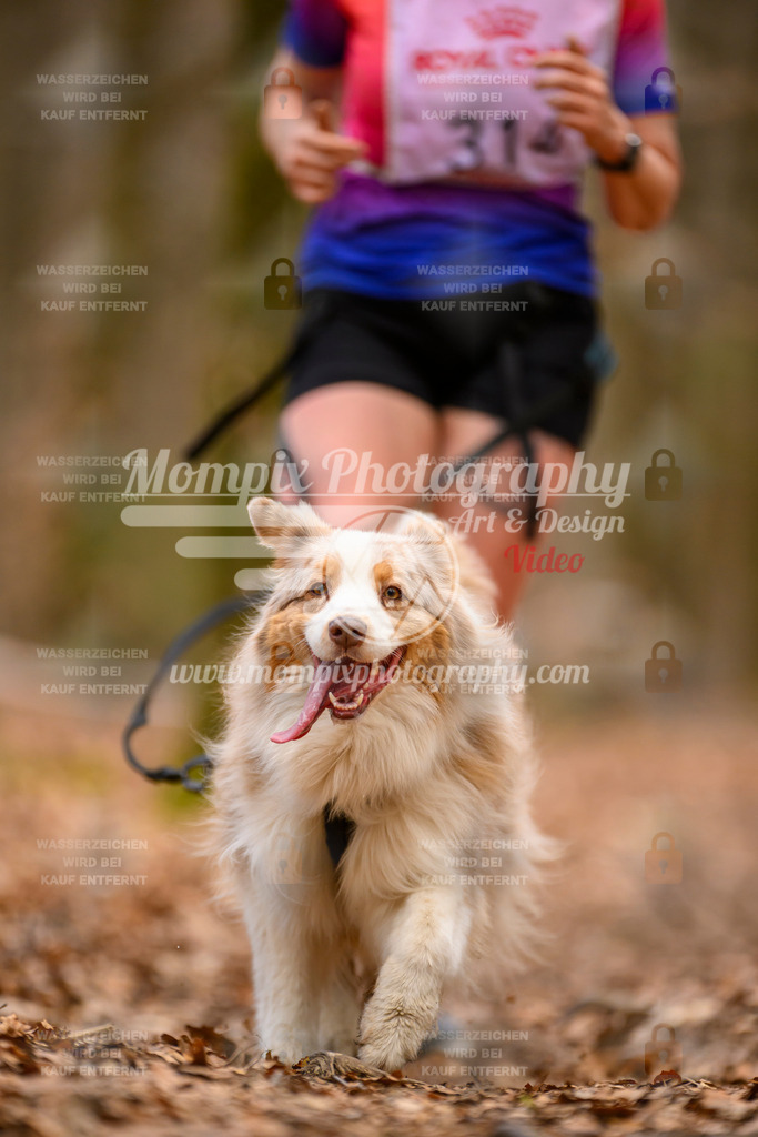MompixPhotography_Habay2025_SA_CCC-261 | PayLife