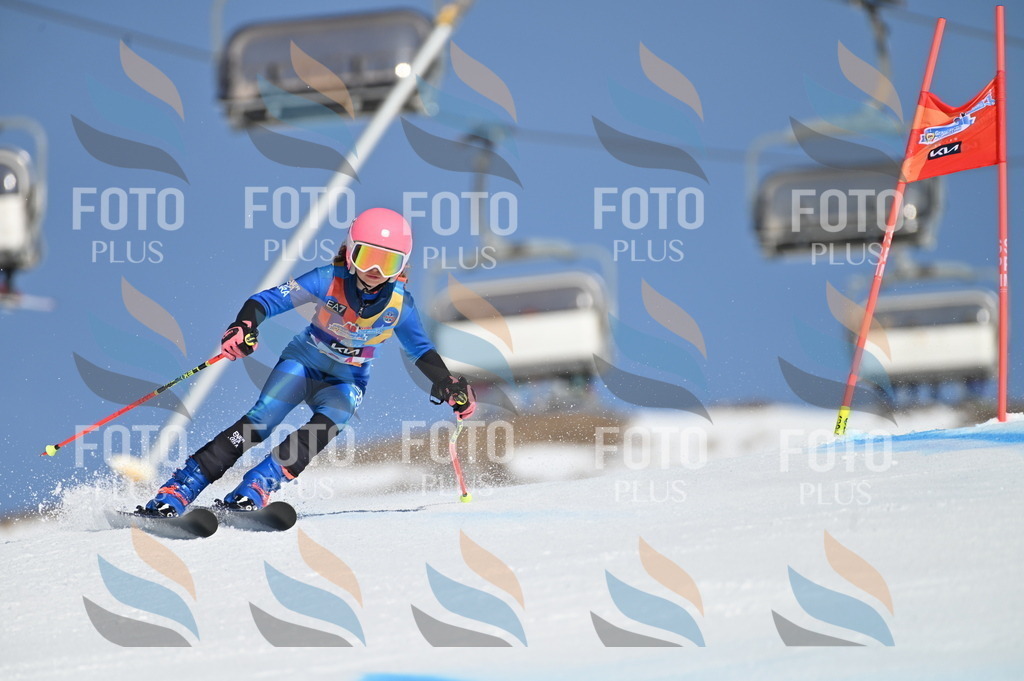 BGV_8216 | holidayphoto