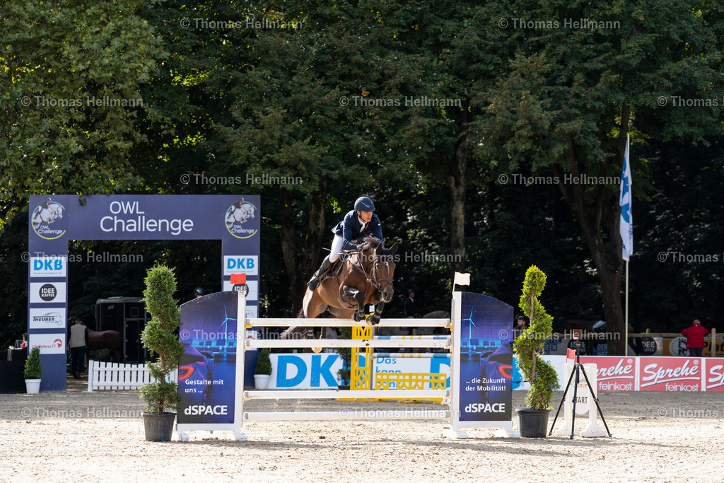 OWL.Ch.2024_Einritt mit Sprung-02057 | Der professionelle Turnierfotograf ✓ Reitsport Bilder ▷ Shop ✚ günstig & schnell ✚ mit Zugang für Redakteure