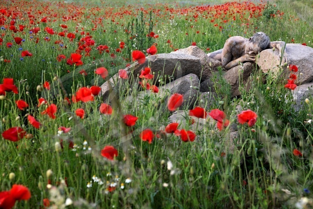 NatureArt-MOHNSTEINE_9844 | Steine zwischen rotem Mohn | #005 | Modell: Lea | Foto: Sandra Diersche-Schwamm - Realisiert mit Pictrs.com