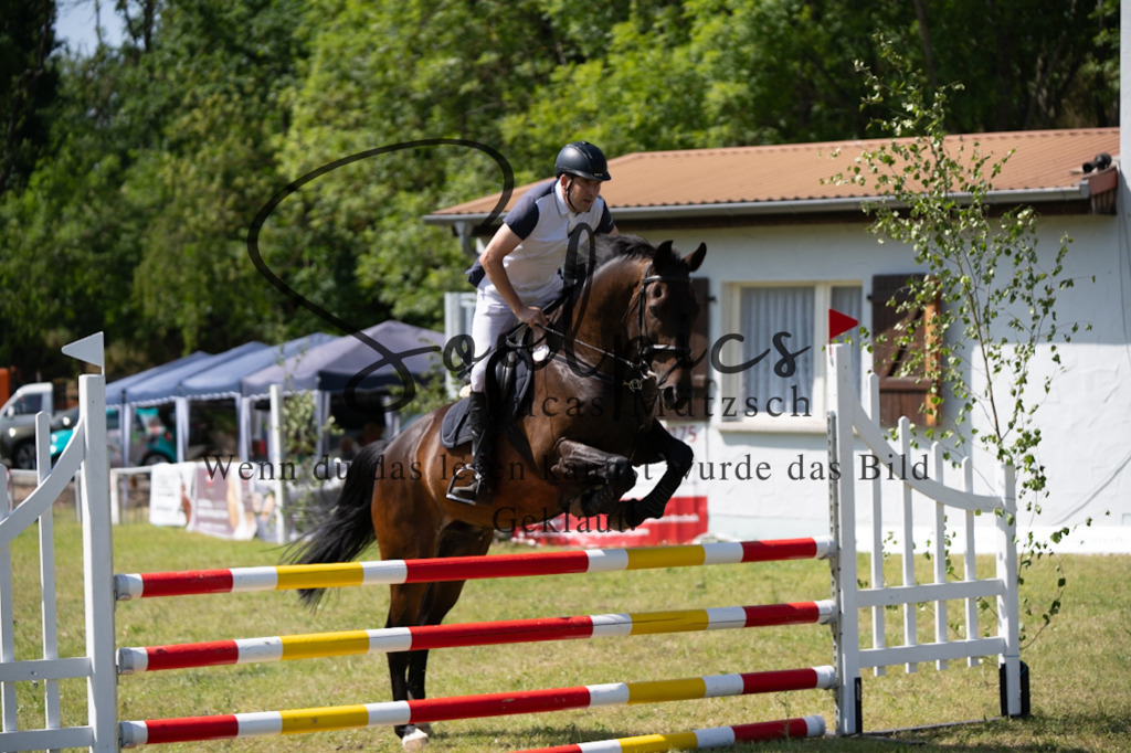 A7V06412 | Pferdefotograf