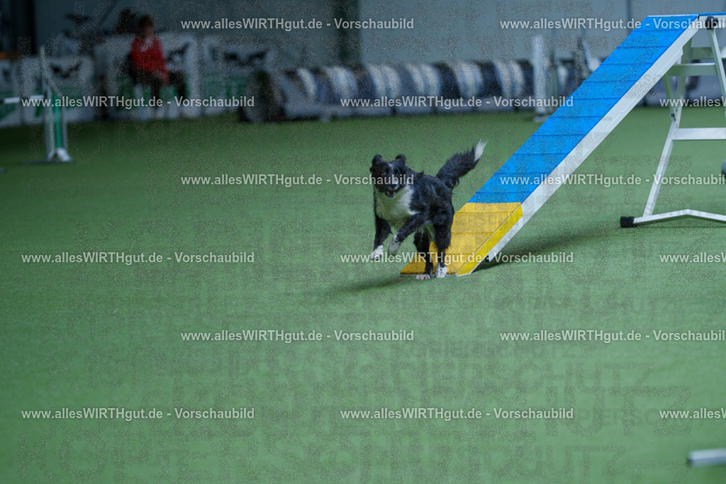 @allesWIRTHgut_Tierfotografie - www.allesWIRTHgut.de - 2604261132-7R509672 | Professionelle Tierfotografie in Mönchengladbach von Daniel Wirth (allesWIRTHgut). Liebevolle & natürliche Bilder von Hunden & Katzen für unvergessliche Erinnerungen.