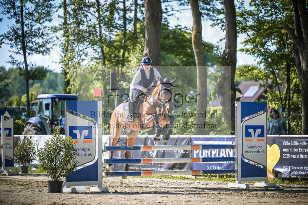 DOS_3220 | Entdecke hochwertige Reitturnierfotos von Foto Oger. Professionell, emotional und authentisch – jetzt Lieblingsmomente im Shop bestellen.Deutschlandweite Turnierfotografie. - Realisiert mit Pictrs.com