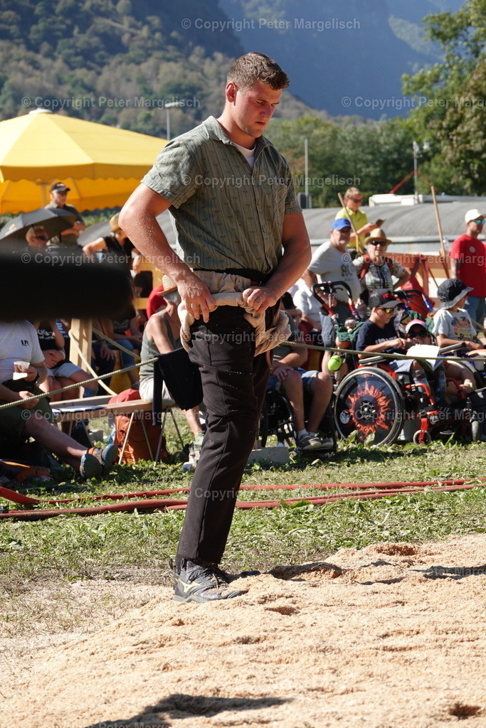 DSC01751 | Schwingen - Realisiert mit Pictrs.com