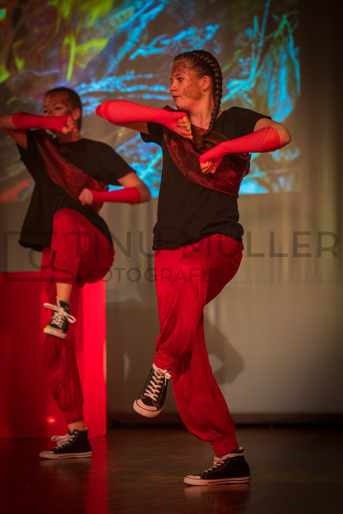 _DSC2584 | Tinu Müller Fotografie- Bildershop - Realisiert mit Pictrs.com