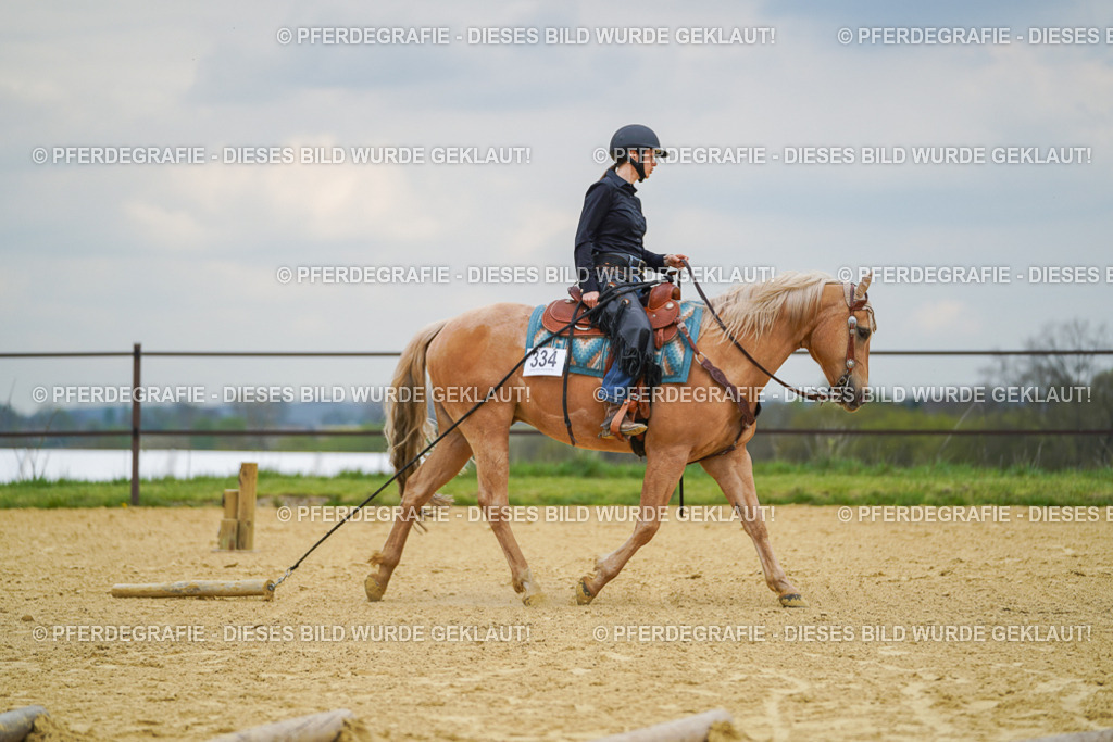 DSC07190 | Pferdegrafie