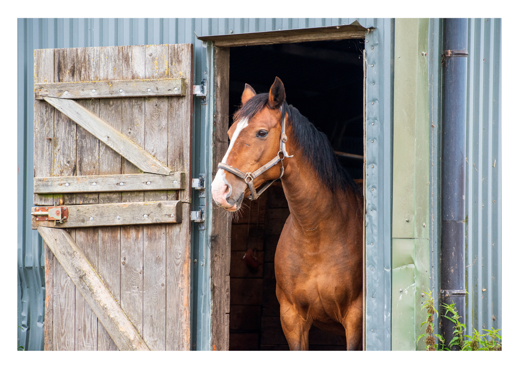 Motiv 70 | Eilun-Art-Fotografie Levke Martens, ihre Fotografin für Immobilien- und Landschaftsfotografie auf Föhr, Föhrer Motive als Poster, Leinwand, hinter Acrylglas oder stelle dir deinen eigenen Monatskalender zusammen, mit nur einem Klick