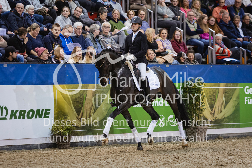 250108_Muenster_Hengstpräsentation-141 | Deine schönsten Turniermomente als professionelle Fotos! Entdecke hochwertige Pferdesport-Fotografie im Online-Shop. Jetzt Fotos finden & bestellen!
