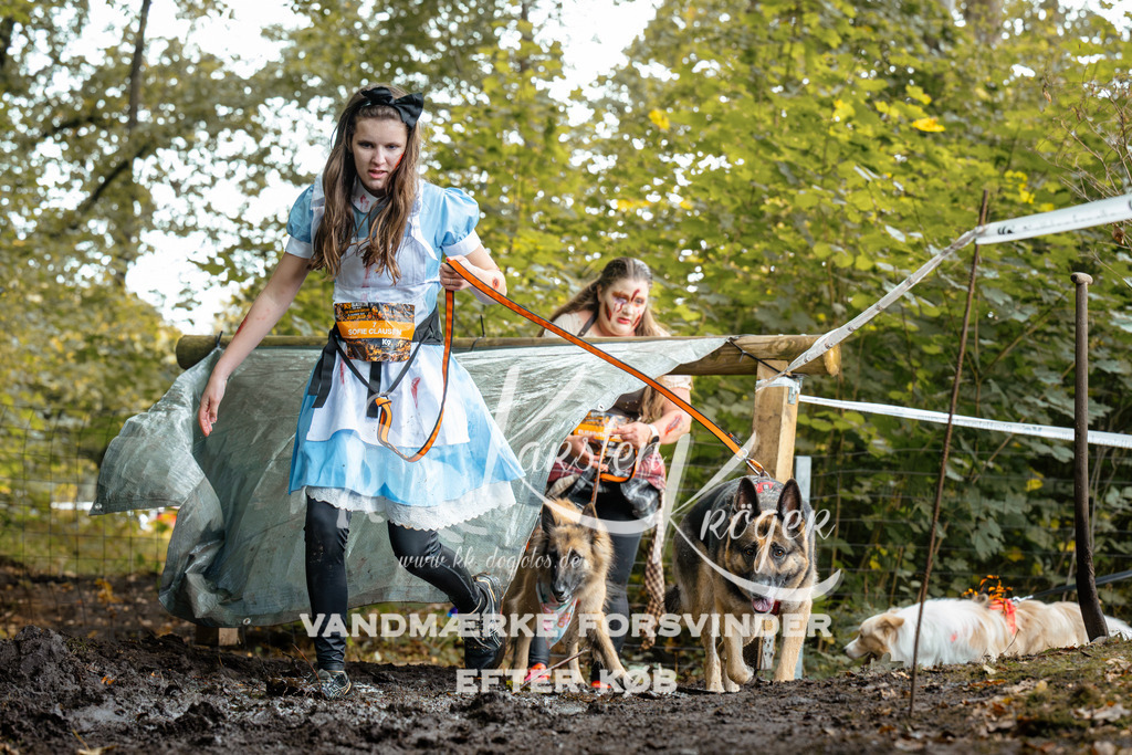 1431DZ6_2655Z6 | kk-dogfotos