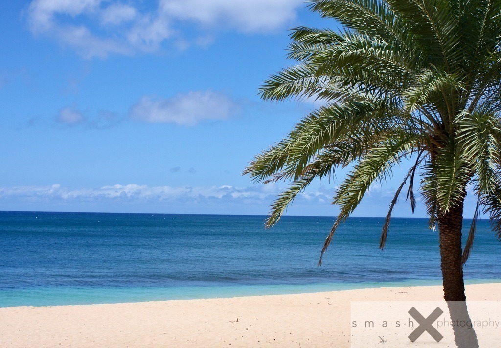 Paradise Beach | Oahu, Hawaii (USA)