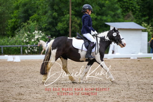 DKP46261 | Turnierfotos kaufen im Webshop von Daniel Kuhl Photography – entdecke professionelle Reitsportfotos aus Turnieren & Events. Hochwertige Turnierbilder online bestellen & sichern. Jetzt Fotos von Reitsportturnieren kaufen!