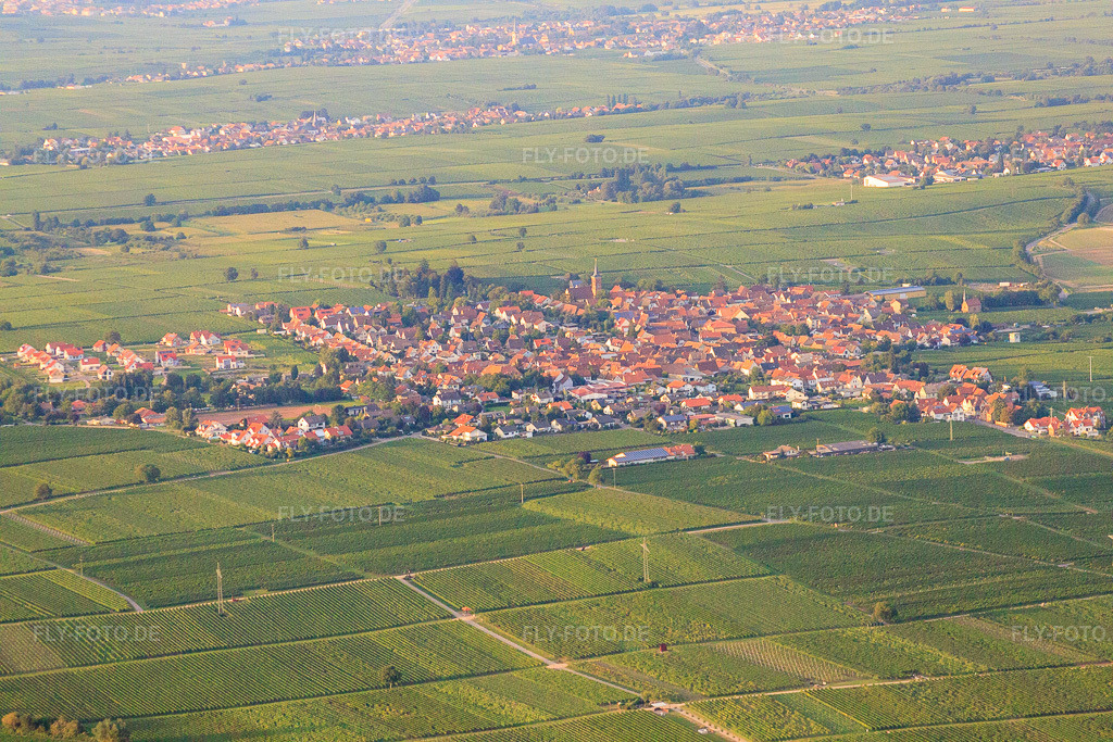 Luftbild: Ortsansicht von Süden im Ortsteil Nußdorf in Landau im Bundesland Rheinland-Pfalz in Deutschland. Foto: IMG_32977.jpg vom 03.09.2010 durch Werner Riehm/FLY-FOTO.deAuflösung des Originals: 4752 x 3168 px