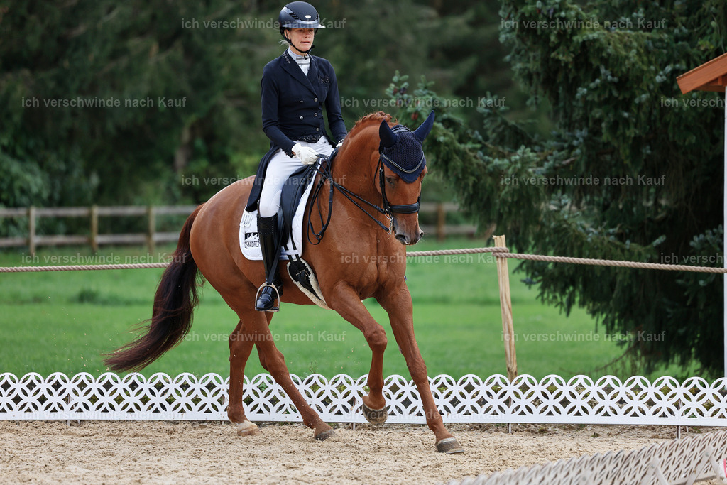 12-220-DRESSUR  S___  -StoibPH-5310 | working equitationturnier fotograf videograf stoibphotography marixx film working equitation deutschland reitsport turnierfotografie eventfotografie equestrian events