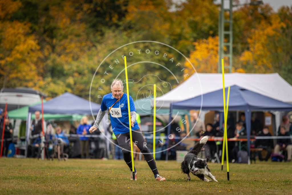 Pfotenfotografie_DV3A2138 | Hundefotografie, Tierfotograf, Pfotenfotografie, Fotoshooting Hund, Hunde Portrait, Hundesport, Hundeportraits, Heideshooting, Hunde, Sportfotograf, Hundefotograf, Turnierhundsport, THS,  - Realisiert mit Pictrs.com