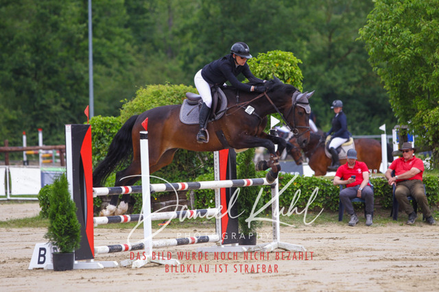 DKP41726 | Turniersportfotografie; Pferdefotografie; Dressurfotografie