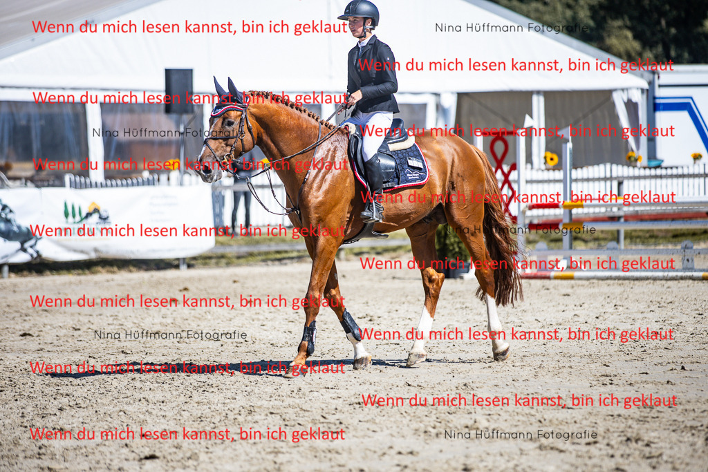 BK1A5531 | Turnierbilder Turnierfotos Nina Hüffmann Turnierfotografie Pferdefotografie Tierzeichnung Haustierzeichnung Pferdezeichnung Hundezeichnung Videograf  - Realisiert mit Pictrs.com