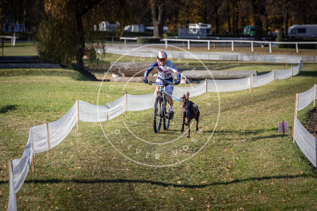 CaniXpix_DV3A3942 | Hundefotografie, Tierfotograf, Pfotenfotografie, Fotoshooting Hund, Hunde Portrait, Hundesport, Hundeportraits, Heideshooting, Hunde, Sportfotograf, Hundefotograf, Turnierhundsport, THS,  - Realisiert mit Pictrs.com