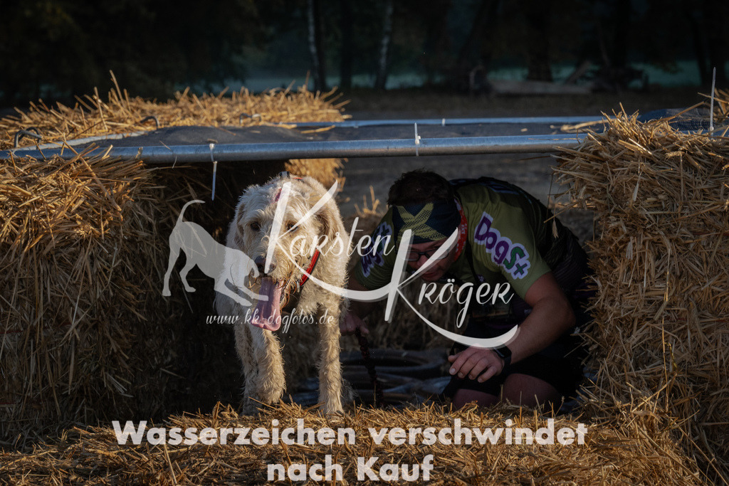 0921_ZZ92610 | kk-dogfotos