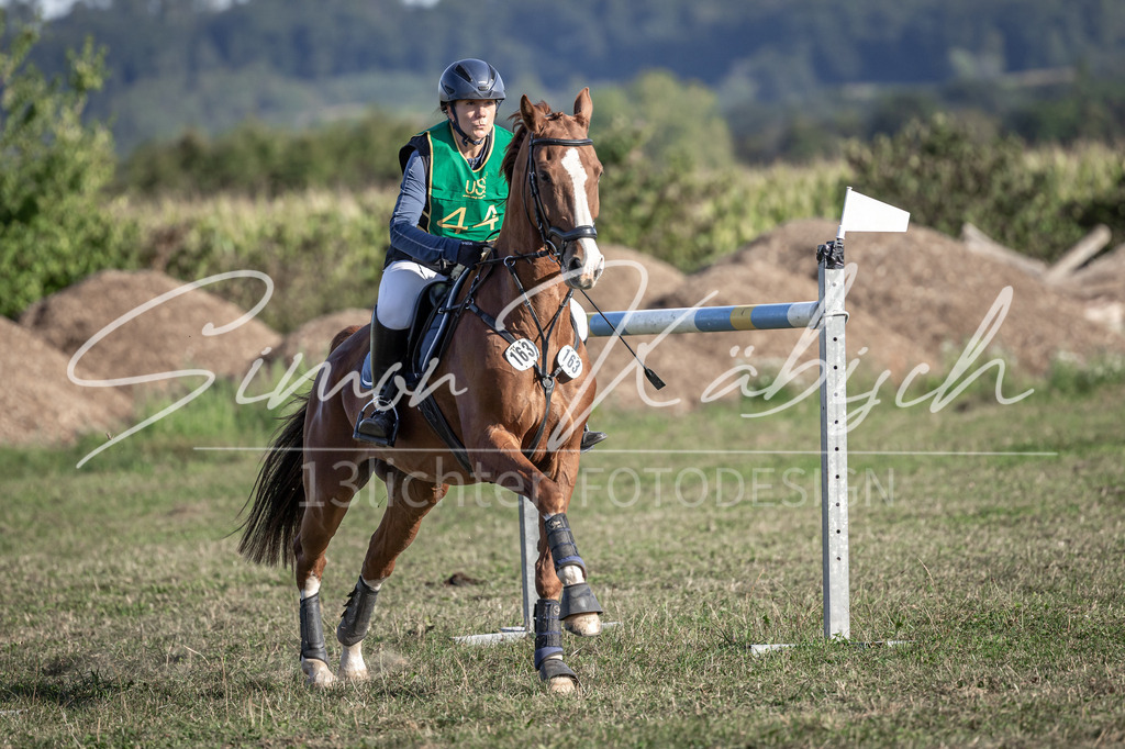 20250907-_3LI4455 | Tierfotografie Pferde, Hunde, Katzen, Haustiere.
Turnierfotografie Reitturniere, Reiten, Springreiten, Dressur in Hanau, dem Main-Kinzig-Kreis und dem Rhein-Main- Gebiet um Frankfurt