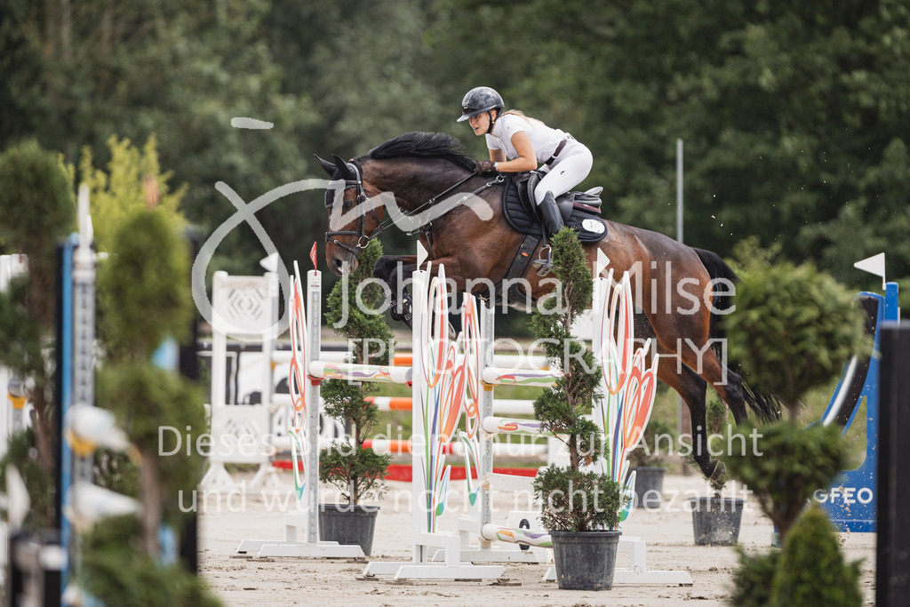250629_PfSpTa_2Ph-M1-723 | Deine schönsten Turniermomente als professionelle Fotos! Entdecke hochwertige Pferdesport-Fotografie im Online-Shop. Jetzt Fotos finden & bestellen!