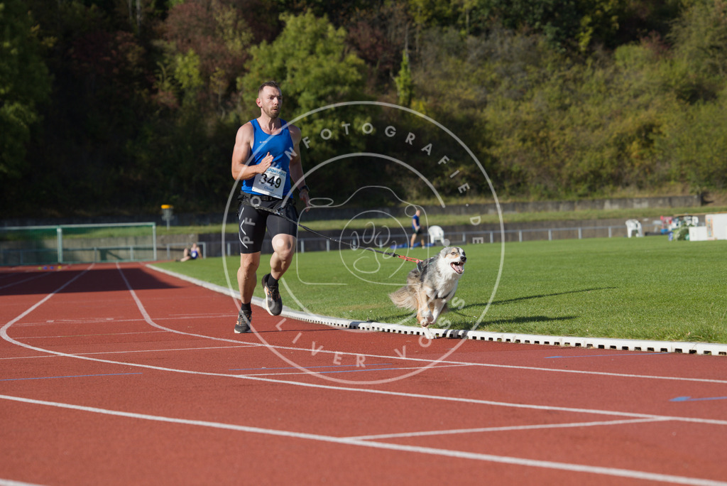 0L8A9741 | Hundefotografie, Tierfotograf, Pfotenfotografie, Fotoshooting Hund, Hunde Portrait, Hundesport, Hundeportraits, Heideshooting, Hunde, Sportfotograf, Hundefotograf, Turnierhundsport, THS,  - Realisiert mit Pictrs.com