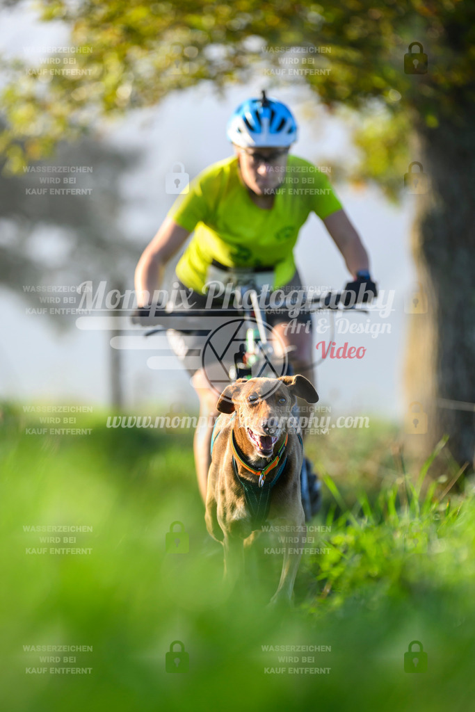 MompixPhotography_20TSB_E3_Bike-196 | PayLife