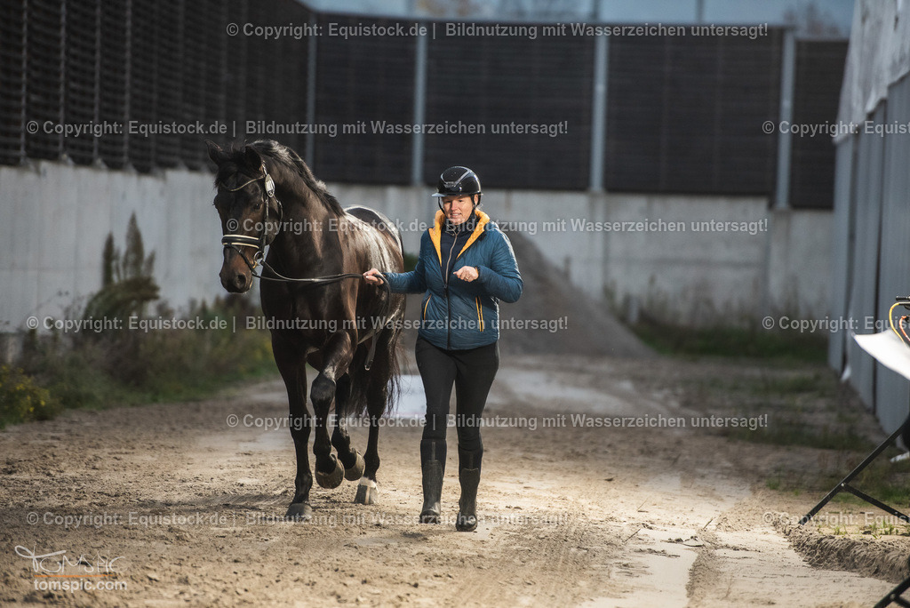 WEB_20241114_Vetcheck_TOMsPiC_0005 | Foto: Thomas Hartig