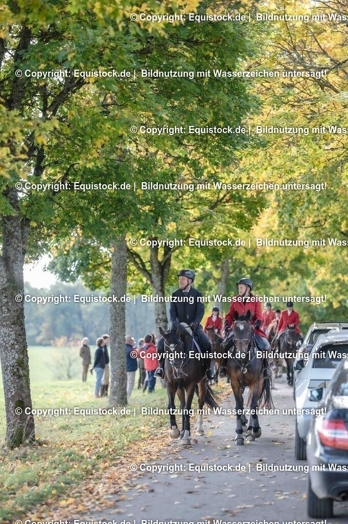 20251011_Jagd-Marbach_0280 | Foto: Thomas Hartig