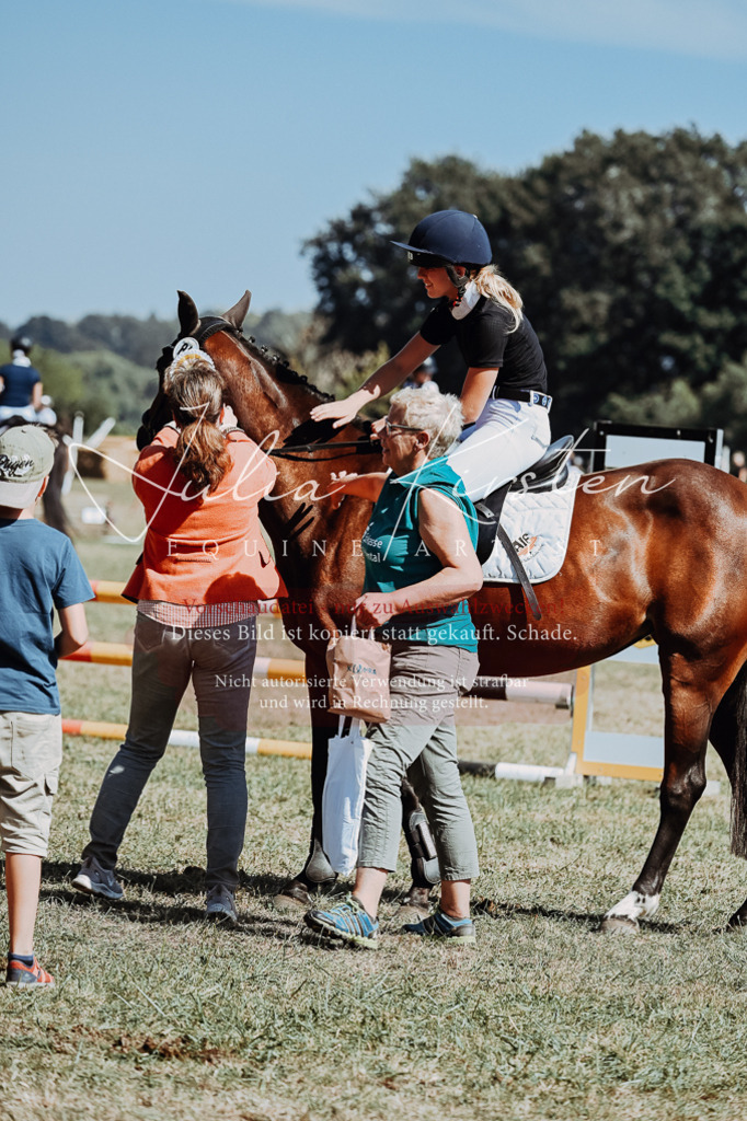 DSC_0141 | Pferde- und Turnierfotografie in Westsachsen. Pferdeportraits, Auftragszeichnungen und intuitive Kunst.