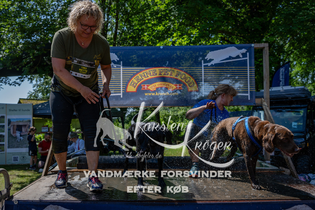1313_ZZ90871 | kk-dogfotos