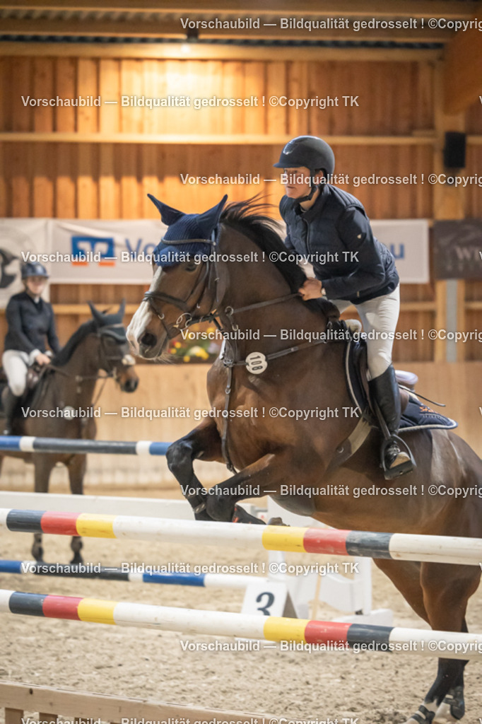 _D5A8930 | Emotionale Pferde- & People-Fotografie rund um Heidelberg, Leimen & Umgebung. Natürliche Fotos von Pferd, Mensch & Familie. Jetzt Termin sichern!