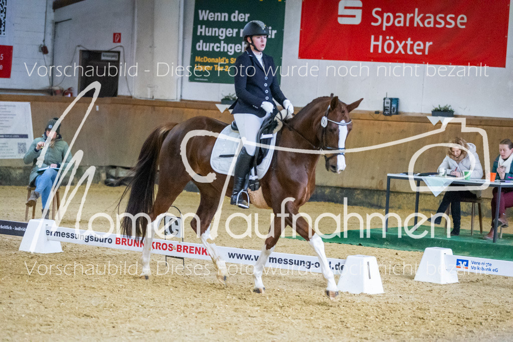 Sth-WBO25-DrR-090 | MomenTaufnahmen Pferdesportfotos