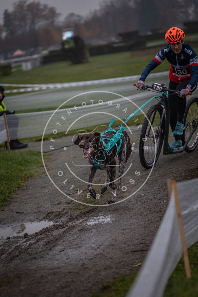 CaniXpix_0L8A0216 | Hundefotografie, Tierfotograf, Pfotenfotografie, Fotoshooting Hund, Hunde Portrait, Hundesport, Hundeportraits, Heideshooting, Hunde, Sportfotograf, Hundefotograf, Turnierhundsport, THS,  - Realisiert mit Pictrs.com