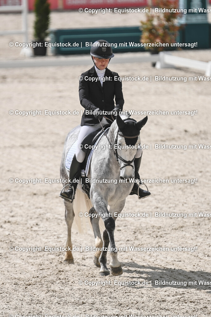 20250516_CCI2_Dressur_0498 | Foto: Thomas Hartig