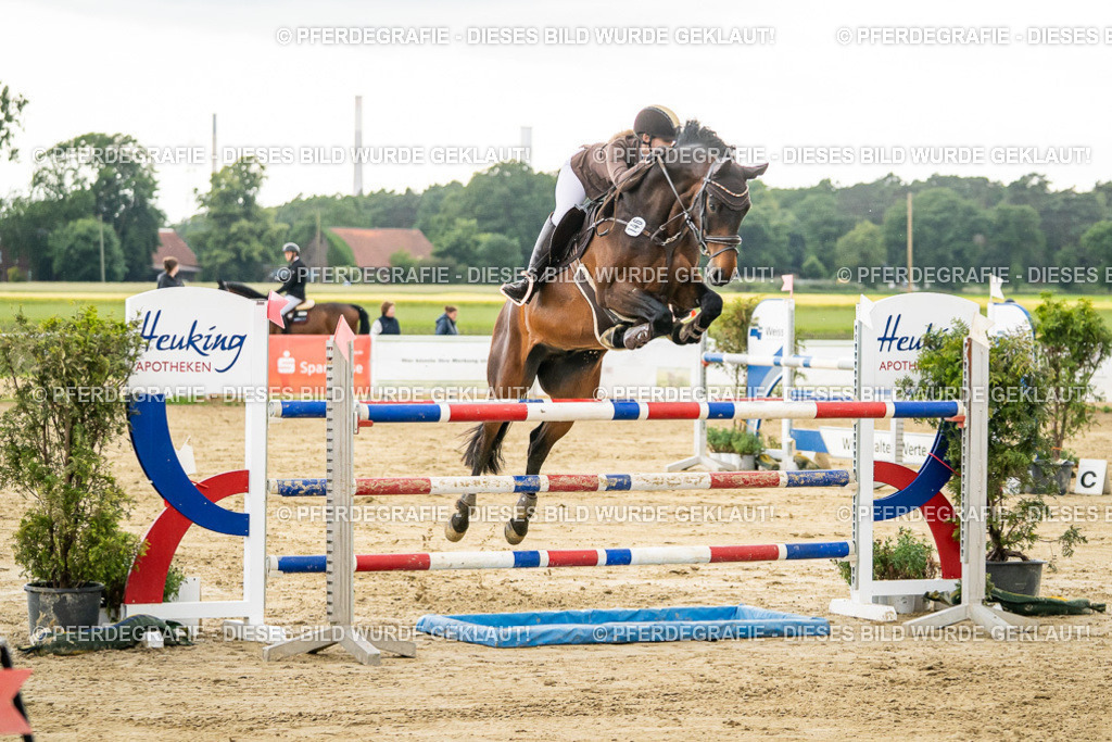 DSC06654 | Pferdegrafie