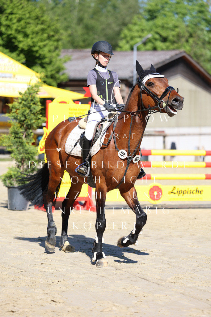 IMGS6865 | pl-fotografie