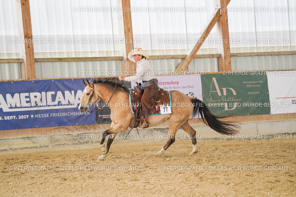 DSC01859 | Pferdegrafie