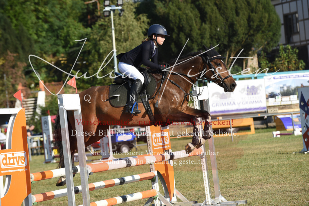 DSC_5104 | Pferde- und Turnierfotografie in Westsachsen. Pferdeportraits, Auftragszeichnungen und intuitive Kunst.