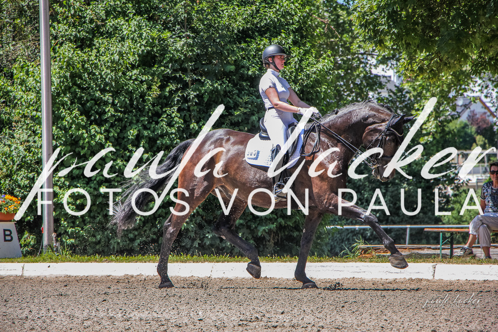 IMG_1260 | Erleben Sie dynamische Sport- und emotionale Tierfotografie in Süddeutschland mit Fotos von Paula. Spezialisiert auf Pferde- und Hundefotografie sowie Sportevents. Kontaktieren Sie mich für einzigartige und ausdrucksstarke Bilder Ihrer besonderen Momente.