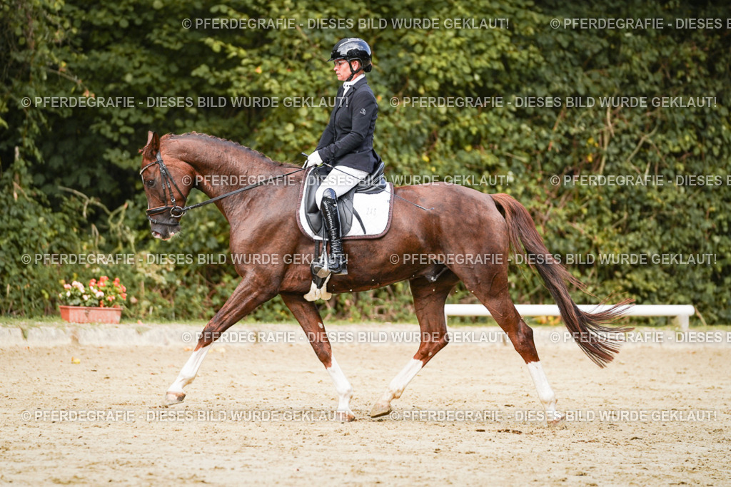 DSC02693 | Pferdegrafie