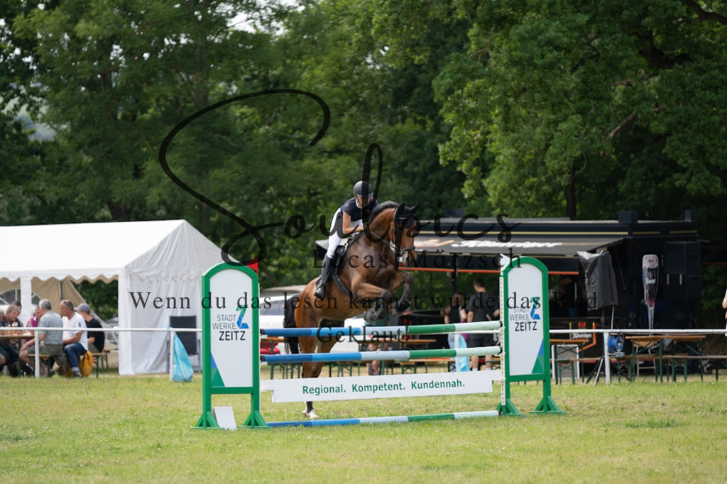 A7V07436 | Pferdefotograf