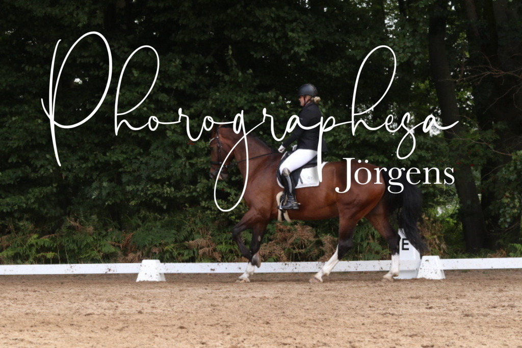 IMG_0266 | photographesa-joergens - Realisiert mit Pictrs.com