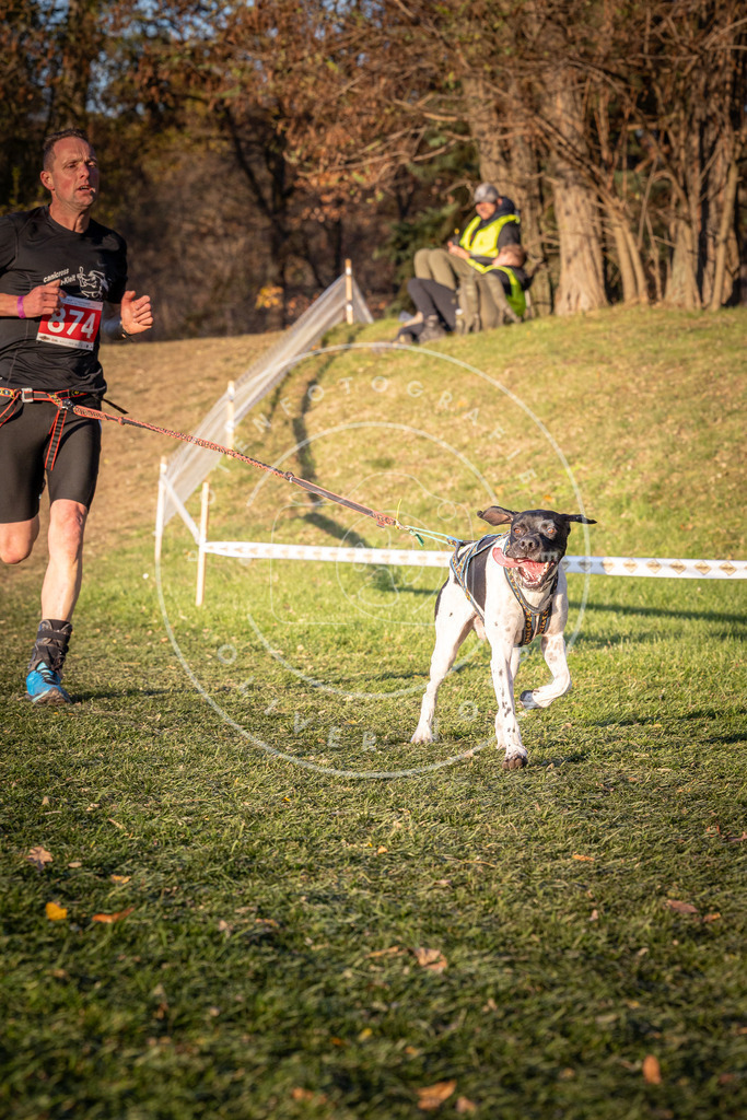 CaniXpix_0L8A1091 | Hundefotografie, Tierfotograf, Pfotenfotografie, Fotoshooting Hund, Hunde Portrait, Hundesport, Hundeportraits, Heideshooting, Hunde, Sportfotograf, Hundefotograf, Turnierhundsport, THS,  - Realisiert mit Pictrs.com