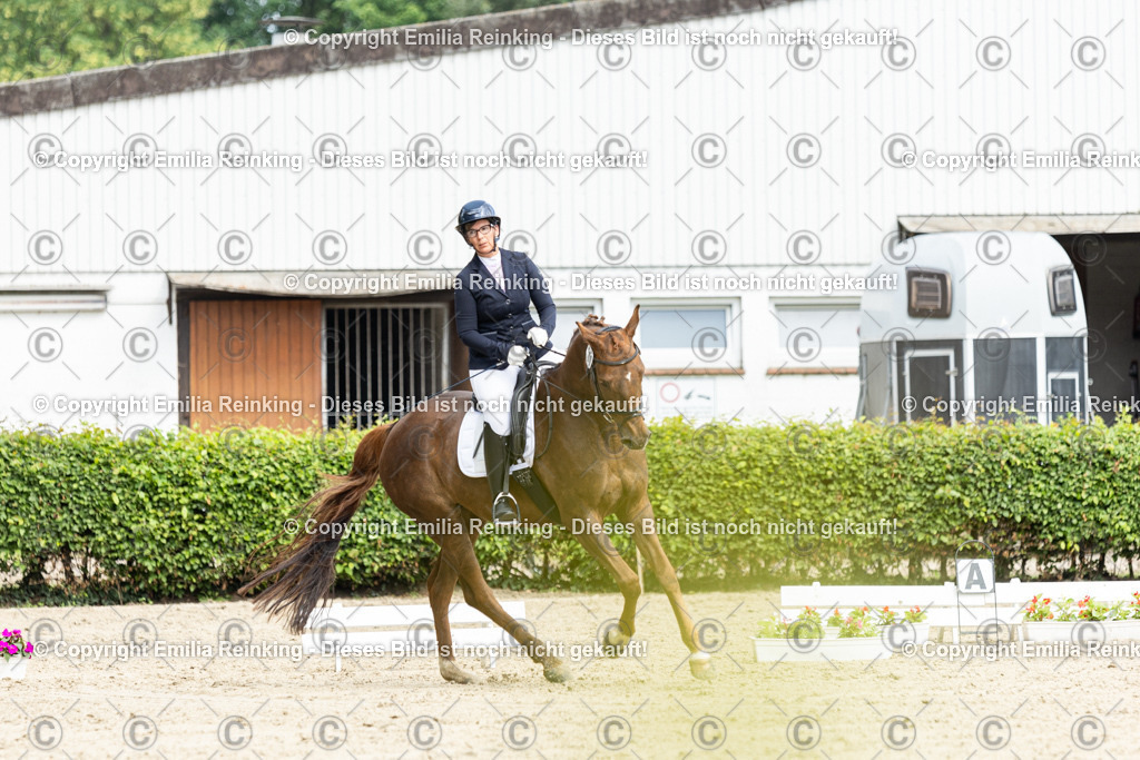 CL5A5062-2 | Emilia Reinking Fotografie - Realisiert mit Pictrs.com